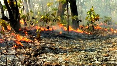 Photo of उत्तराखंड के जंगलों में लगी भीषण आग, वन विभाग की मदद में जुटे ग्रामीण