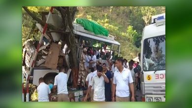 Photo of पेड़ से टकराई ऋषिकेश से बद्रीनाथ जा रही यात्रियों की बस