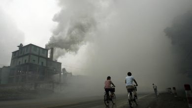 Photo of दुनियाभर में 10 में से 9 लोग प्रदूषित हवा में ले रहे सांस