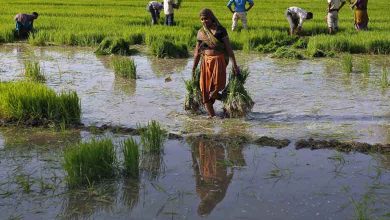 Photo of किसान गरीब क्यों ? किसान परिवार में आत्महत्या क्यों ? आखिर कौन देगा जवाब