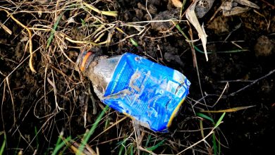 Photo of पहाड़ों पर प्लास्टिक-फ्री छुट्टियां बिताने के लिए उत्तराखंड पर्यटन विभाग ने सुझाया रोचक तरीका