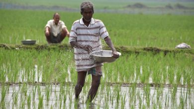 Photo of उत्तराखंड के किसानों ने तकनीक का किया प्रयोग, सरकार तक पहुंचाई गांव की समस्या
