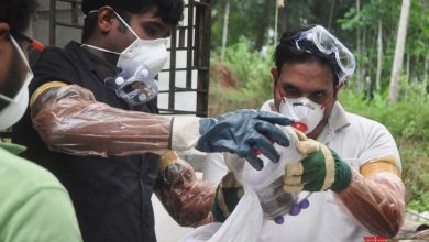 Photo of केरल में जानलेवा निपाह वायरस ने 16 लोगों की ली जान