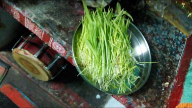 Photo of उत्तराखंड में हरेला पर्व के मौके पर लोगों को निशुल्क बांटे जाएंगे औषधीय पौधे