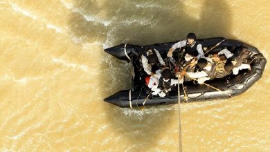Photo of #KeralaFloods : बाढ़ में समाई 35 हज़ार हेक्टेयर खेती, लाखों की तादाद में पशुधन नष्ट