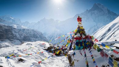 Photo of ‘हिमालय के संरक्षण से ही मुमकिन है उत्तराखंड का सुंदर भविष्य’ 