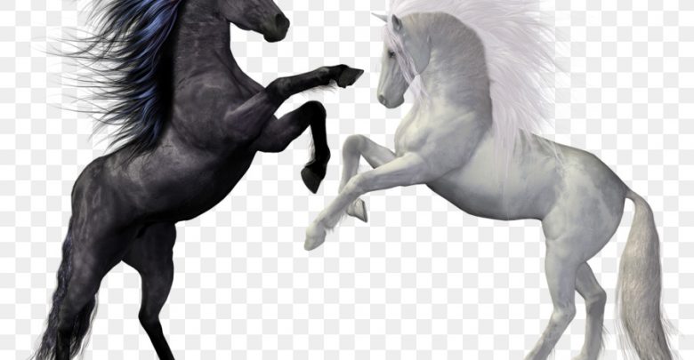 सफेद घोड़े को काला कर बेेचा