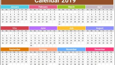 Photo of जारी हुआ साल 2019 का Calendar, कम हुई सरकारी छुट्टियां, महिलाओं को मिलेगा बड़ा फायदा…