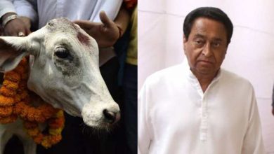 Photo of MP में विधानसभा चुनाव जीतने के लिए कांग्रेस ने ली ‘गाय माता’ की शरण, गौमाता से है ये पुराना रिश्ता
