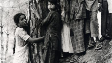 Photo of चिपको : 45 वर्ष पहले कुछ पहाड़ी महिलाओं की हिम्मत ने सरकार हिला दी थी, जंगलों ने देखी थी वो शौर्य गाथा