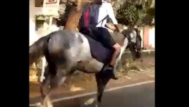 Photo of अरे बाप रे… 10वीं कक्षा की ये लड़की घोड़े पर बैठ पहुंची स्कूल, देखें VIDEO