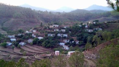 Photo of उत्तराखंड में त्रिस्तरीय पंचायत चुनाव में इस गाँव ने पेश की बड़ी मिसाल