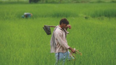 Photo of खुशखबरी : सरकार बढ़ाएगी किसानों व काश्तकारों की आय, पलायन पर पड़ेगा असर