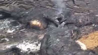 Photo of उत्तरकाशी में आग से 7 मवेशियों की दर्दनाक मौत