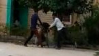 Photo of दबंग युवकों ने विक्षिप्त महिला को दौड़ा-दौड़ा कर पीटा, VIDEO हुआ वायरल