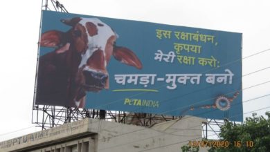 Photo of जानिए क्यों PETA से अचानक नाराज़ हो गया हिंदू समुदाय