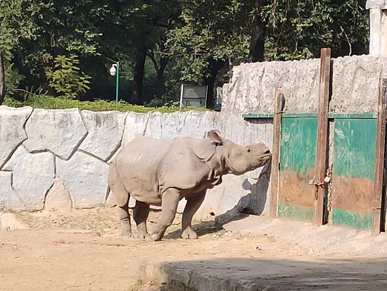 कानपुर चिड़ियाघर