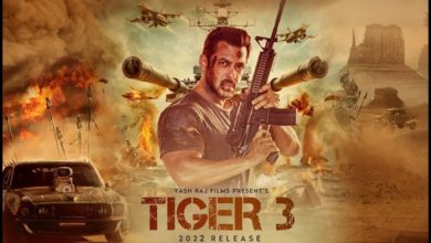 Photo of सलमान खान की फिल्म टाइगर-3 की शूटिंग शुरू, इमरान हाशमी निभाएंगे पाकिस्तानी एजेंट का किरदार