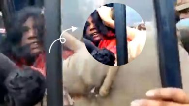Photo of सावित्री बाई फूले को यूपी पुलिस ने मारा थप्पड़, खींचा बाल…. विडिओ वायरल