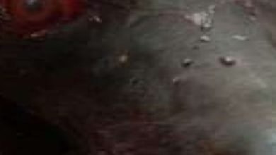 Photo of एएसआई ने कुत्ते को बेरहमी से पीट-पीटकर किया अधमरा, वीडियो वायरल