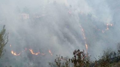 Photo of अल्मोड़ा के जंगलों में भीषण आग, 17 जगहों पर भारी नुकसान