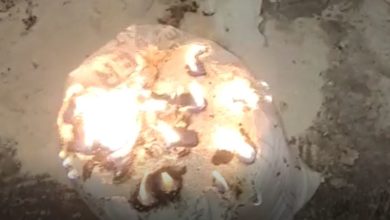 Photo of कासगंज में रहस्यमयी आग से मचा हड़कंप, 6 दिनों में 300 बार लगी आग