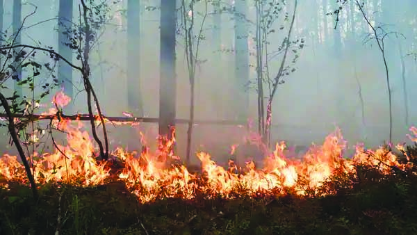उत्तराखंड