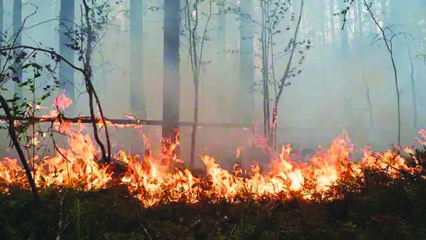 उत्तराखंड