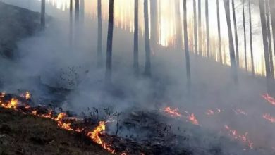 Photo of पर्वतीय जिलों के बाद अब मैदानी इलाकाें में भी पहुंची जंगल की आग, हरिद्वार में वनाग्नि की घटना
