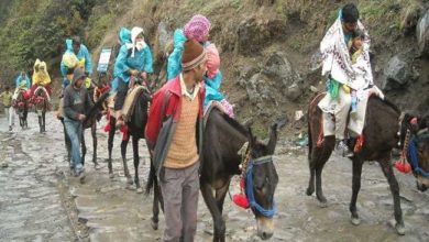 Photo of केदारनाथ धाम जाने वाले हर यात्री की लोकेशन होगी प्रशासन के पास, घोड़े और खच्चरों पर लगेगा जीपीएस
