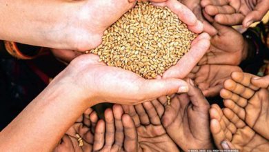 Photo of उत्तराखंड में भी मिलेगा फ्री राशन, जानें कितने लोगों को मिलेगा गेहूं और चावल का लाभ