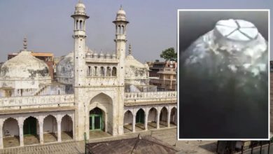 Photo of हिंदू पक्ष के वकील का बड़ा दावा, ज्ञानवापी में शिवलिंग से हुई छेड़छाड़, मस्जिद के स्टोर रूम में मिला औजार