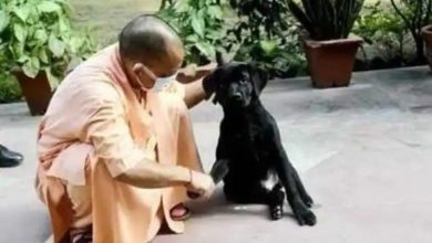 Photo of कुत्ता पालने वालों को सीएम योगी ने दिए सख्त निर्देश, नहीं मानने पर होगी कड़ी कार्रवाई