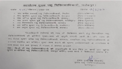 Photo of Fatehpur की DM ने अपनी गाय की देखभाल के लिए लगाई 7 सरकारी डॉक्टरों की ड्यूटी
