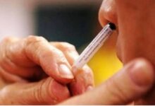 Photo of नेसल कोविड वैक्सीन का थर्ड फेज में भारत ने किया सफल परीक्षण, जल्द मिल सकती है मंजूरी