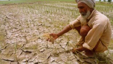 Photo of सूखे से प्रभावित किसानों को मिलेगी राहत, सीएम योगी ने लिया बड़ा निर्णय