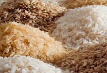 Photo of भारत ने चावल के निर्यात पर लगाया प्रतिबंध, कम बारिश के कारण उत्पादन प्रभावित