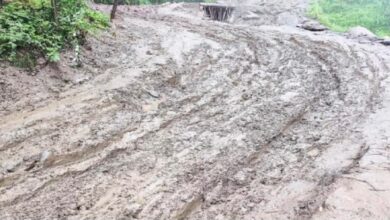 Photo of उत्तराखंड में जारी है बारिश का सिलसिला, तीन राज्य मार्गों सहित 125 सड़कें बंद