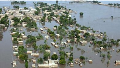 Photo of पाकिस्तान में बाढ़ से मचा है कोहराम! दाने-दाने को हुआ मोहताज