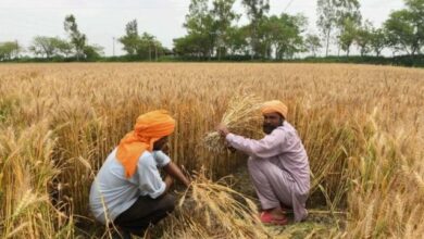 Photo of किसानों को सरकार का तोहफा , गेहूं के MSP में 110 रुपये की बढ़ोत्तरी