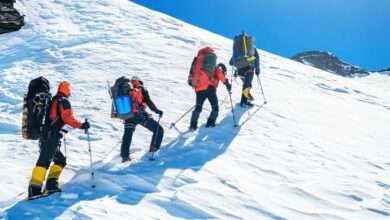 Photo of उत्तराखंड: मौसम विभाग ने जारी किया अलर्ट, अगले तीन दिन ट्रैकिंग और पर्वतारोहण पर रोक