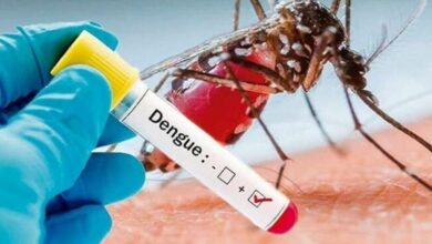 Photo of उप्र: बढ़ रहे है डेंगू के मामले, जानें लक्षण व बचाव के उपाय