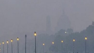 Photo of Delhi Air Pollution: जहरीली हुई दिल्ली की हवा, कल से प्राइमरी स्कूल बंद