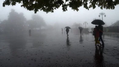 Photo of उत्तराखंड में अगले तीन दिन बारिश का अलर्ट, रुद्रप्रयाग प्रशासन ने तीर्थ यात्रियों से की ये अपील