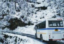 Photo of उत्तराखंड: 40 फीसदी मार्गों पर लाइफलाइन मानी जाने वाली रोडवेज बस सेवा बंद, डग्गामारी चरम पर