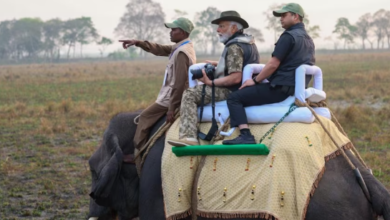 Photo of Video: काजीरंगा नेशनल पार्क में पीएम मोदी ने की हाथी की सवारी